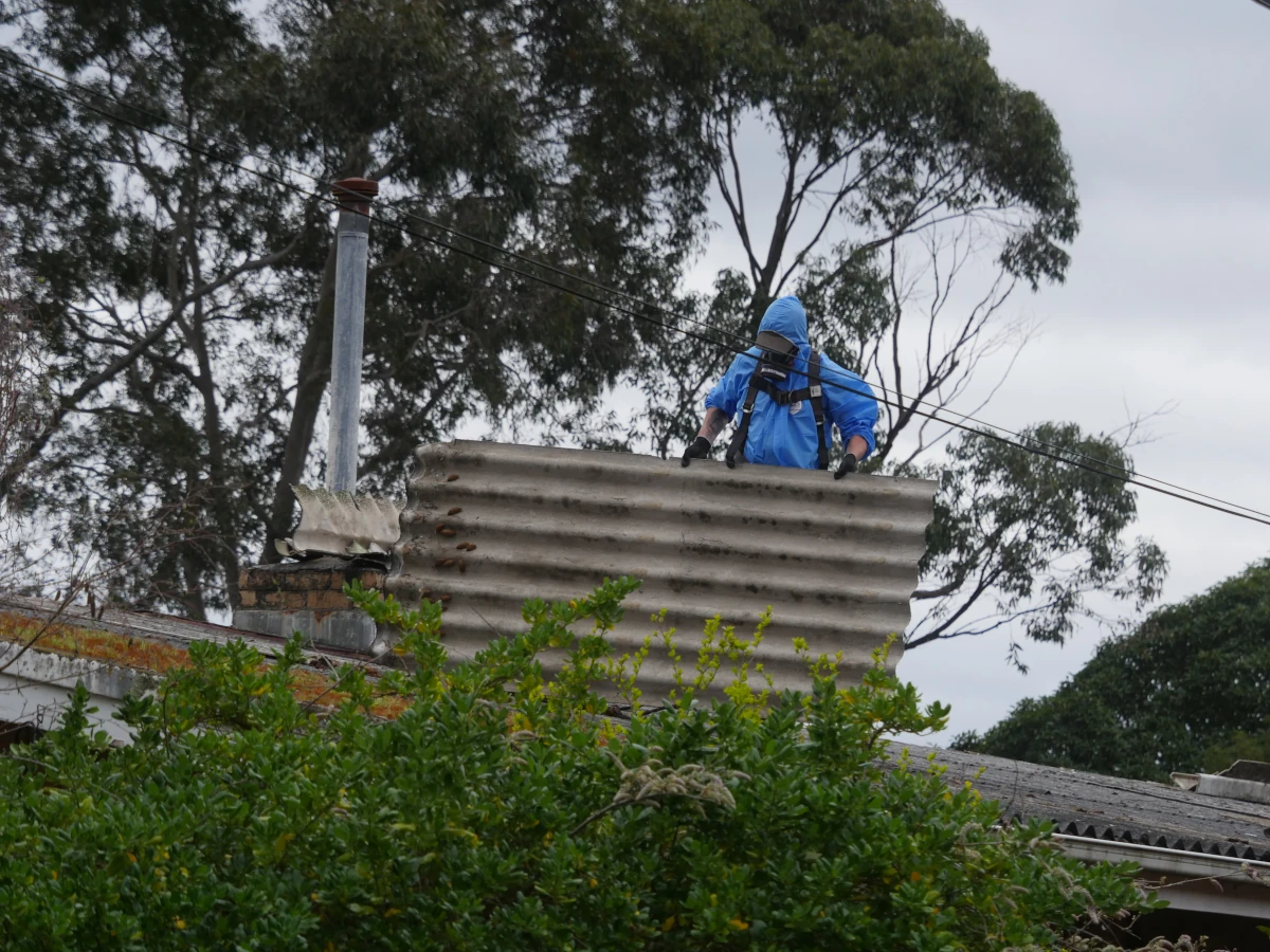 Licensed removalist in protective equipment stripping bonded asbestos sheeting from a Melbourne home